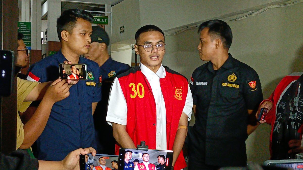 Bertemu Nikita Mirzani di Sidang, Vadel Badjideh Sampaikan Hal Ini