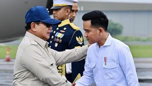 Wapres Sambut Ketibaan Presiden Prabowo Usai Rampungkan Kunjungan di Eropa