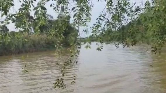 Jasad Pelajar SD Korban Terkaman Buaya di Sungai Sangatta Ditemukan