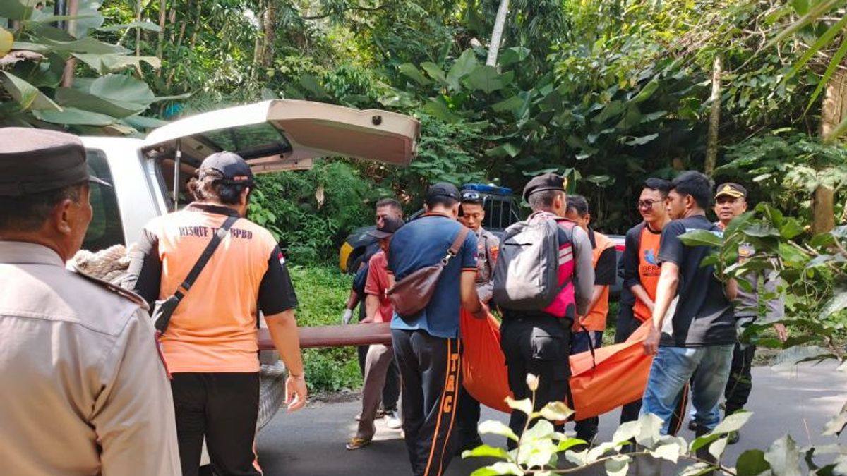 WN Italia Tewas Terjatuh dari Tebing Saat Berfoto di Air Terjun Tabanan Bali