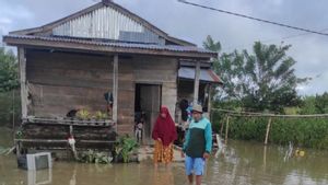 Banjir di Poso, BPBD Sulteng Gerak Cepat Berikan Bantuan