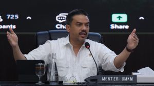 Masuk Tahap Sinkronisasi, Pemerintah Siapkan Payung Hukum Pelindungan UMKM di Pasar Digital