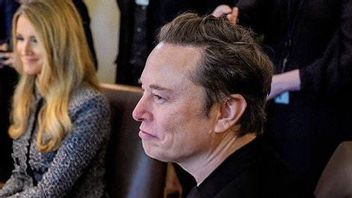 埃隆·马斯克(Elon Musk)的诉讼本可以成为先例,安邦新解释人工智能法的法院