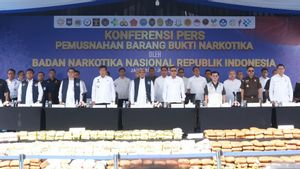 Soal Legalisasi Ganja di RI, Kepala BNN: Tujuannya Ekonomi atau Kesehatan?