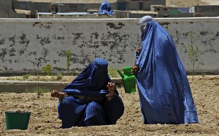 Utusan HAM PBB Desak Taliban Cabut Pembatasan Terhadap Perempuan, Selidiki Serangan Terhadap Minoritas Syiah dan Sufi