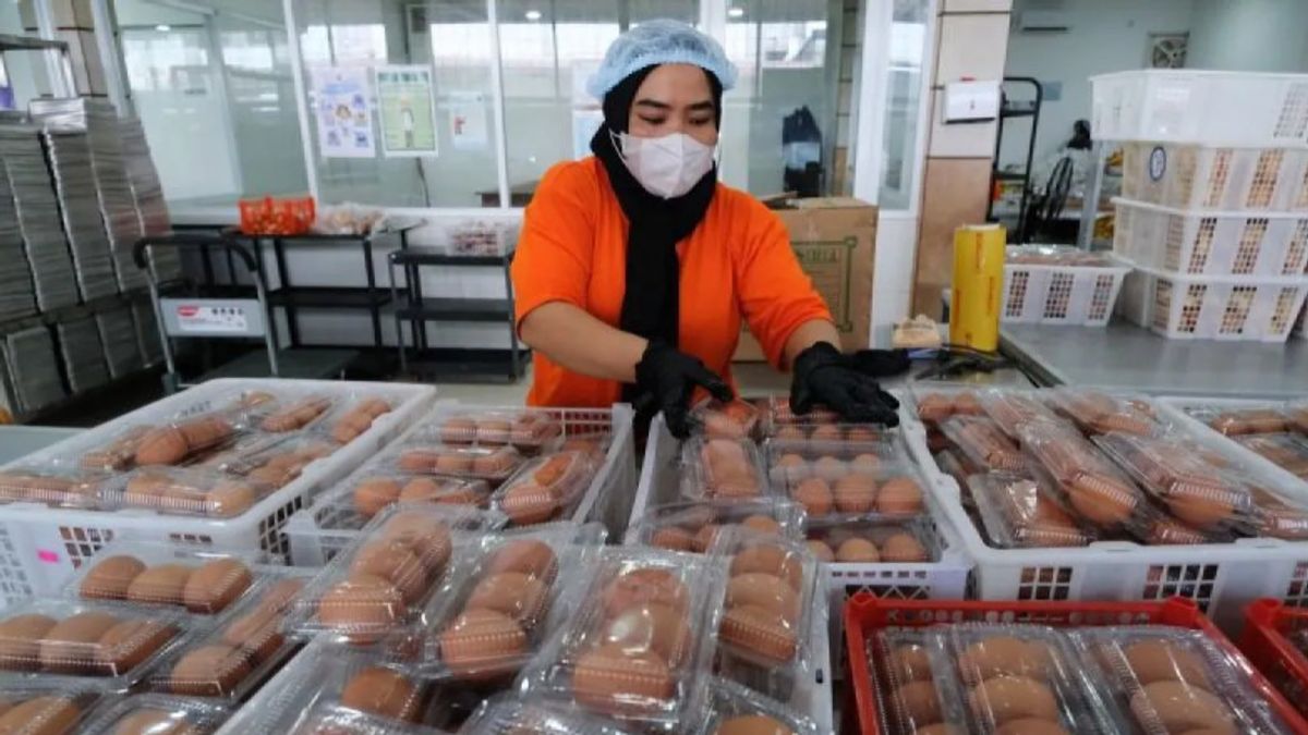 BPKN Minta BGN Evaluasi Berkala Menu MBG Ramadan