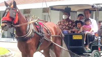Jokowi Uploads Video Riding Delman With 4 Grandsons: Fun Sunday