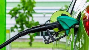 Expert Values E10 Policy As A Concrete Step For Government Towards Green Energy