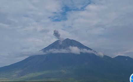 Gunung Semeru Dua Kali Erupsi dengan Letusan Setinggi 600-800 Meter