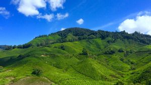 Malaysia Dominasi Jalur Pendakian Terbaik di Asia Tenggara