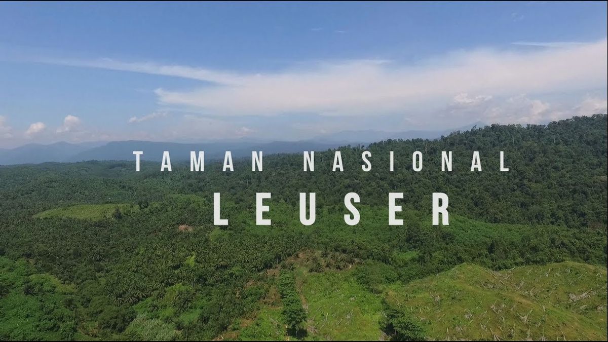 Tempat Wisata Sumatera Utara: Taman Nasional Gunung Leuser