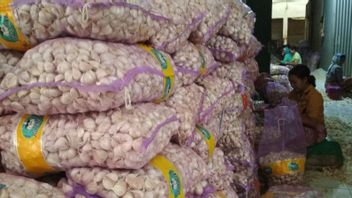 Ministry of Agriculture Issues Recommendations for 1.1 Million Tons of Garlic Import