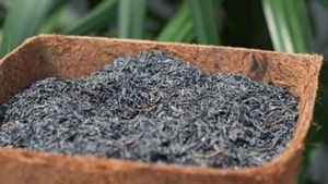 First Performed, RI Exports 8.9 Tons Of Bakar Sekam To The Netherlands