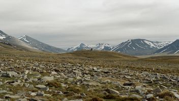 علماء كامبريدج يكتشفون الحمض النووي البالغ من العمر مليوني عام في جرينلاند