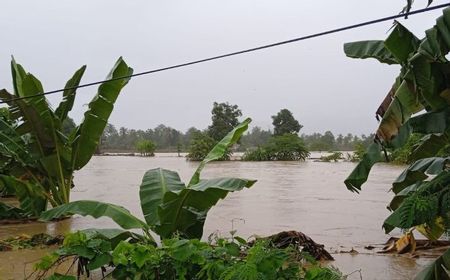 Banjir Tiga Meter di Kabupaten Luwu Renggut 14 Nyawa