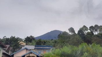 BPBD Sumsel Himbau Warga Sekitar Gunung Dempo Waspada, Status Aktivitas Naik ke Level II 