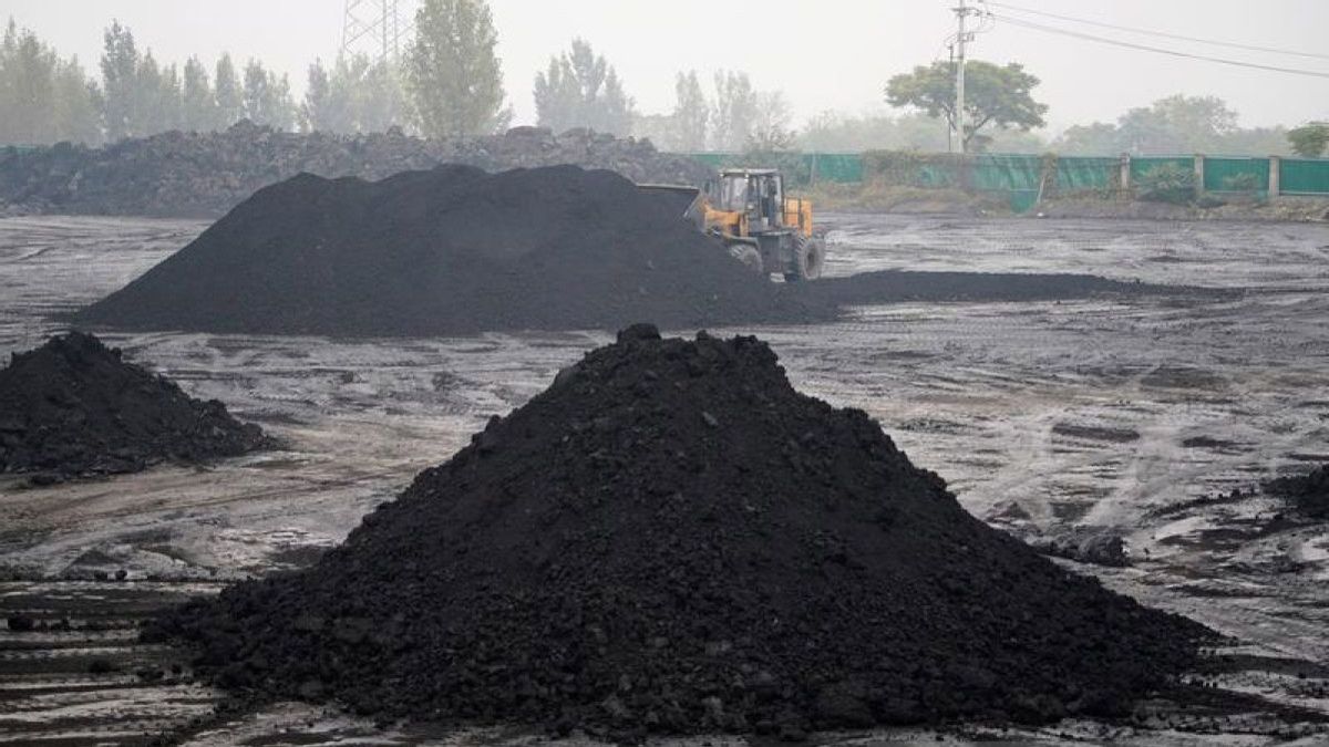 Down! The Price Of Coal References For The Republic Of Indonesia In August 2024 Is 115.29 US Dollars Per Ton