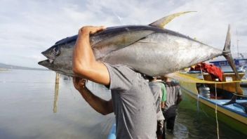 マルク州政府は、マグロ輸出を増やすために3つのWPPを最大化しています