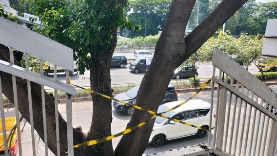 Nasib JPO Jalan S Parman, Sudah Kusam Kini Banyak Pegangan Besi yang Raib, Warga: Takut Jatuh ke Bawah