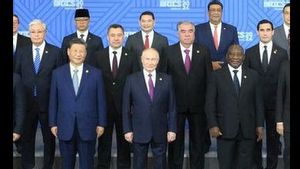 Ekonom Ungkap Bergabungnya Indonesia jadi Anggota BRICS dan OECD Akan Memiliki Kelebihan