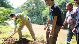 Tanam Pohon di Bantaran Sungai Ciliwung, Anies: Bicara Naturalisasi, Kita Harus Hidup Bersama Siklus Alam