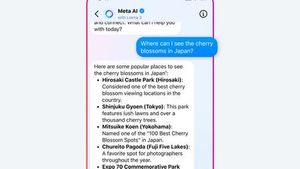 Meta Resmi Luncurkan Chatbot Meta AI yang Didukung Llama 3 di India