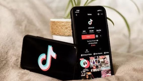Getting To Know TikTok Series And Access Prices, Can Be A Cuan Field