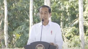 Jokowi Ungkap Tamu 17 Agustusan di IKN Dikurangi dari 1.300 Jadi 8.000 Orang