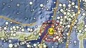 Poso Diguncang Gempa Magnitudo 6,0, BMKG: Tidak Berpotensi Tsunami