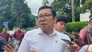 Soal Beras Oplosan, Bos Bapanas ke Peritel: Ngapain Ditarik? Jual Murah Saja