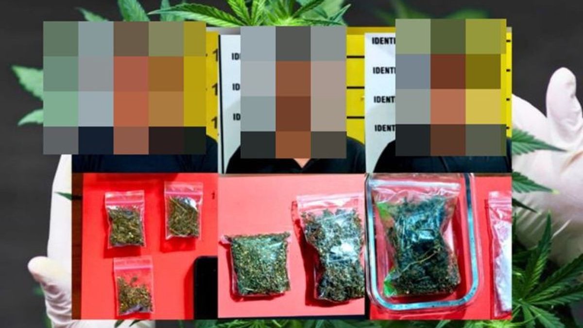 Arrestation de 3 jeunes à Tapin Kalsel, la police a saisi 62 grammes de marijuana sèche
