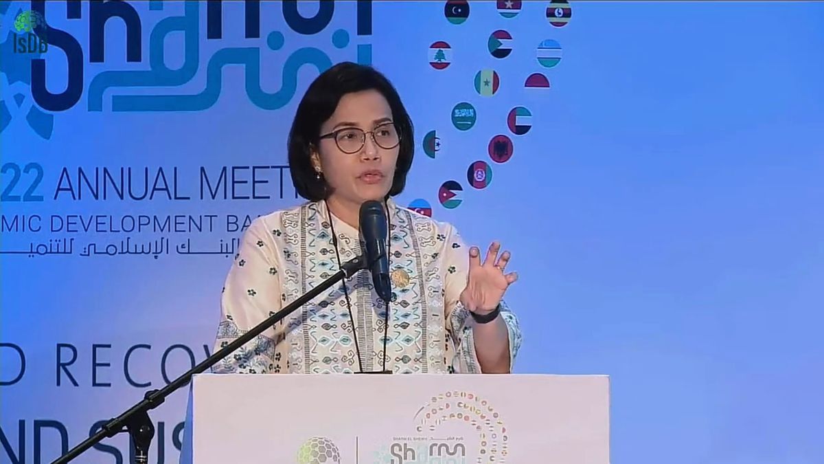 Sri Mulyani Has 30 Positions Apart From Being Minister Of Finance, Staff Opens Voice