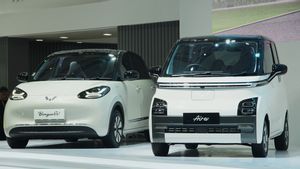 五菱Rajai Pasar EV 印尼2024年第一季度