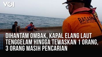VIDEO: Action To Rescue Shipwrecked Victims In Damar Island Waters, Thousand Islands