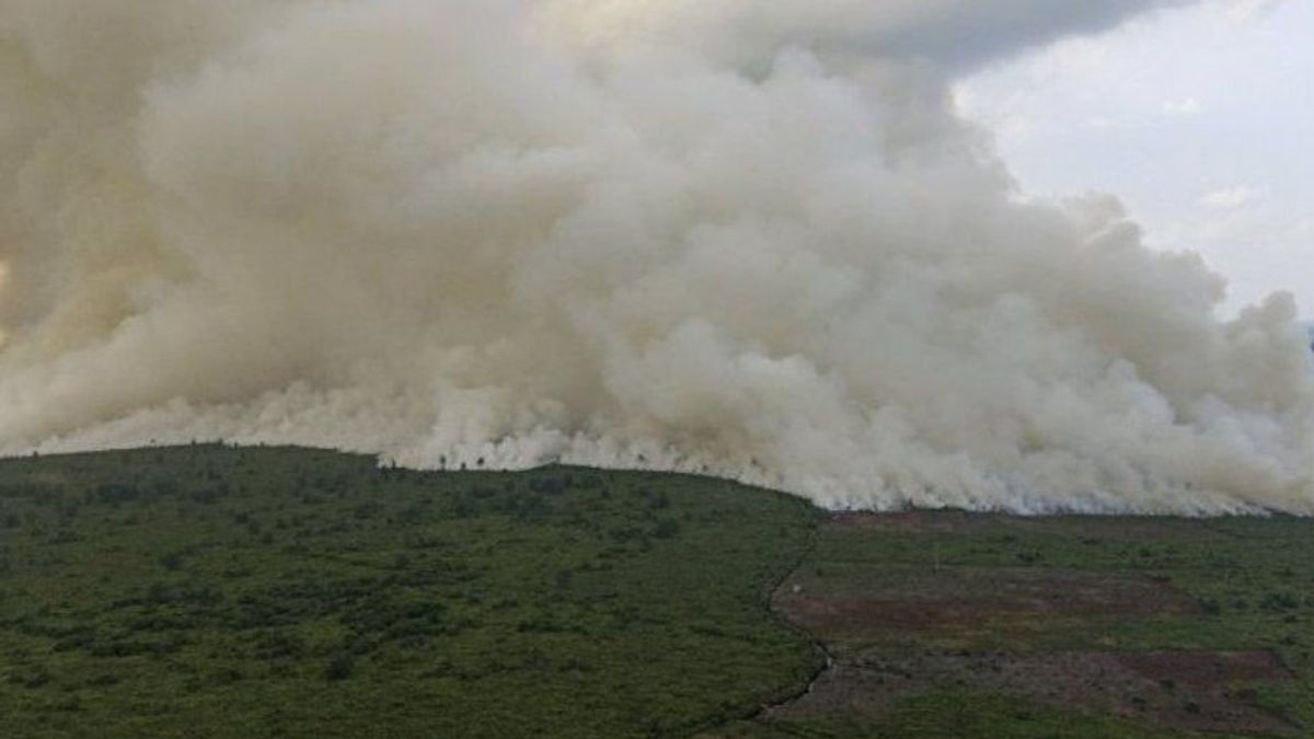 Joint Officers Put Out Forest And Land Fires In 4 Locations In Riau