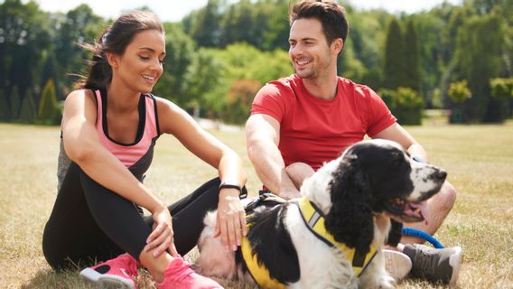 You Include Dog Lovers, These Are 6 Dog Breeds Suitable For Runners