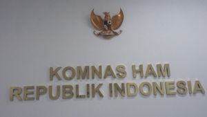 Komnas HAM Minta Jokowi Bertindak Konkret soal Penanganan Pelanggaran HAM