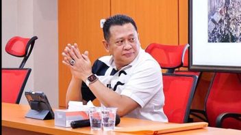 DPR RI Bambang Susatyo, Reminds ASN Netrality In Elections