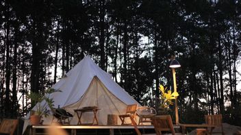 Vacances à Batu Malang? Essayez la recommandation de Batu Malang Glamping confortable, naturel et mémorable