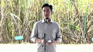 Secara Fungsional, Penugasan Gibran Rakabuming Raka Urus Papua Tidak Diperlukan