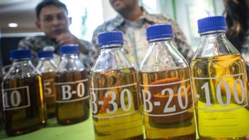 سعر HIP BBN Biodiesel أكتوبر 2024 تم تحديده عند 12,633 روبية إندونيسية للتر الواحد