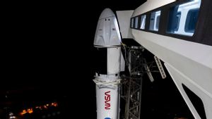 NASA Tunda Peluncuran Misi Crew-12, Empat Astronot Tetap Dikarantina