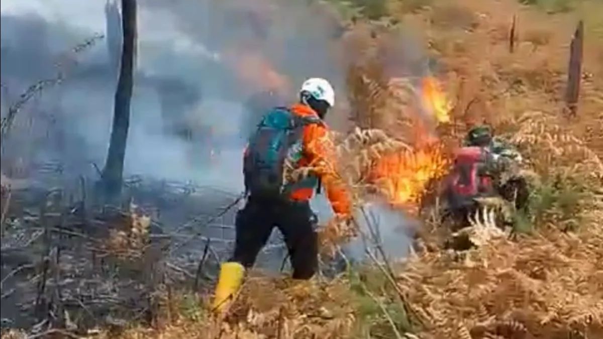 2 hectares de terres à Kapuas Kalteng Karhutla, Sortez rapidement à cause de la chaleur et du vent fort