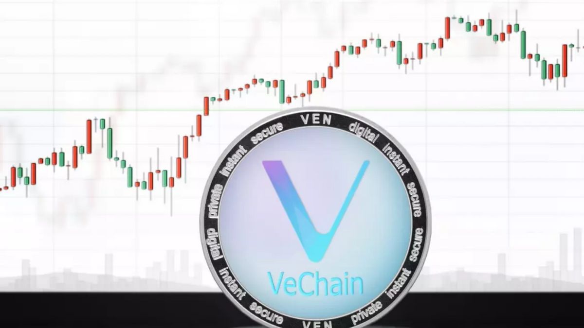 VeCoin est prêt à établir un nouveau record