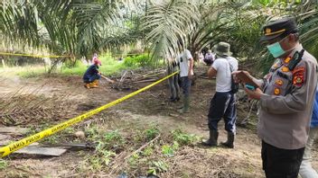 Temuan Kerangka Manusia di Kebun Sawit Musi Banyuasin Dievakuasi ke RS Bhayangkara Palembang