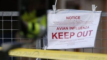 鳥インフルエンザの症例がカンボジアに入り、インドネシアは警戒を求められた