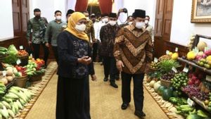 Tentang Nanas PK-1 yang Dikupas Gubernur Khofifah dan Diberi Khusus ke Prabowo Subianto