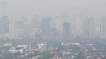 WFH Dianggap Bukan Solusi Atasi Polusi Udara di Jakarta
