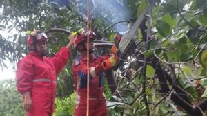 Hujan dan Angin Kencang, Pohon Tumbang Hantam Kabel Udara di Tamansari Jakbar