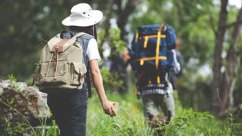 Logistik untuk Naik Gunung: Panduan Lengkap untuk Perjalanan Aman